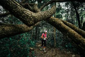 BIB: 
                            <button type="button" onclick="openModal(25708234)" class="btn btn-primary btn-sm float-right btn-popup" data-toggle="modal" data-target=".modal-high-quality">
                        <i class="fas fa-shopping-cart"></i> Add to Cart
                    </button>
                                            <button type="button" onclick="isThisMe(25708234, true)" class="btn btn-success btn-sm float-right btn-popup btn-isme hidden" data-toggle="tooltip" data-placement="bottom" title="นี่คือรูปของคุณใช่ไหม คลิกที่นี่เพื่อเอาเข้าอัลบั้ม">
                        <i class="fas fa-plus"></i> Add to album
                    </button>
                    <button type="button" onclick="isThisMe(25708234, false)" class="btn btn-warning btn-sm float-right btn-popup btn-isnotme hidden">
                        <i class="fas fa-ban"></i> Remove from album
                    </button>